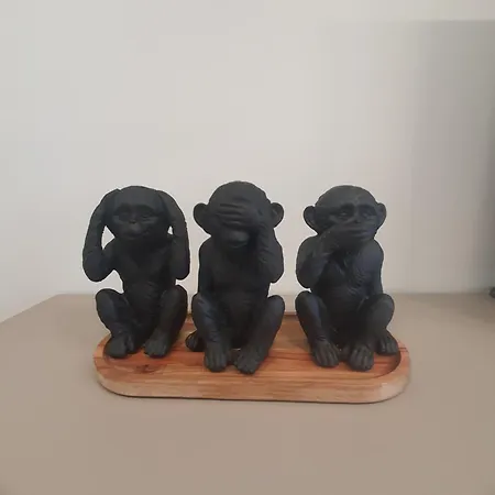 Divalla Бургас